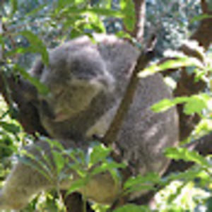 Meet your Posher, Catherine